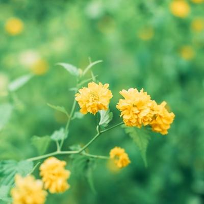 荣耀漂移乱斗游戏下载