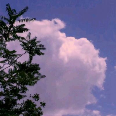 海之梦online手游下载